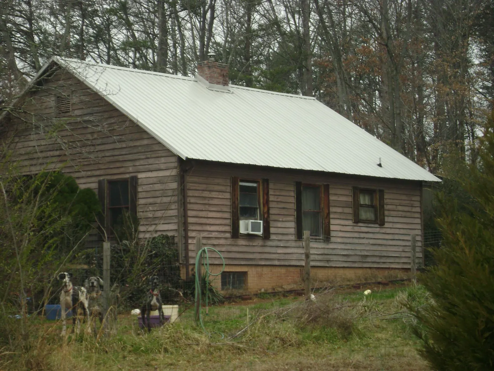 White metal roof on an old wood sided farmhouse, from a Metal Roof Installation job in Olema